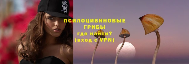 эйфоретик Верея