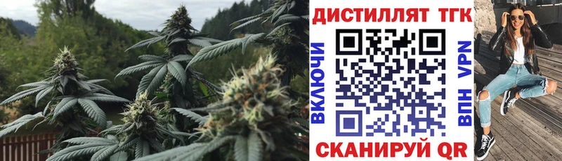 где купить   Шебекино  Дистиллят ТГК вейп 